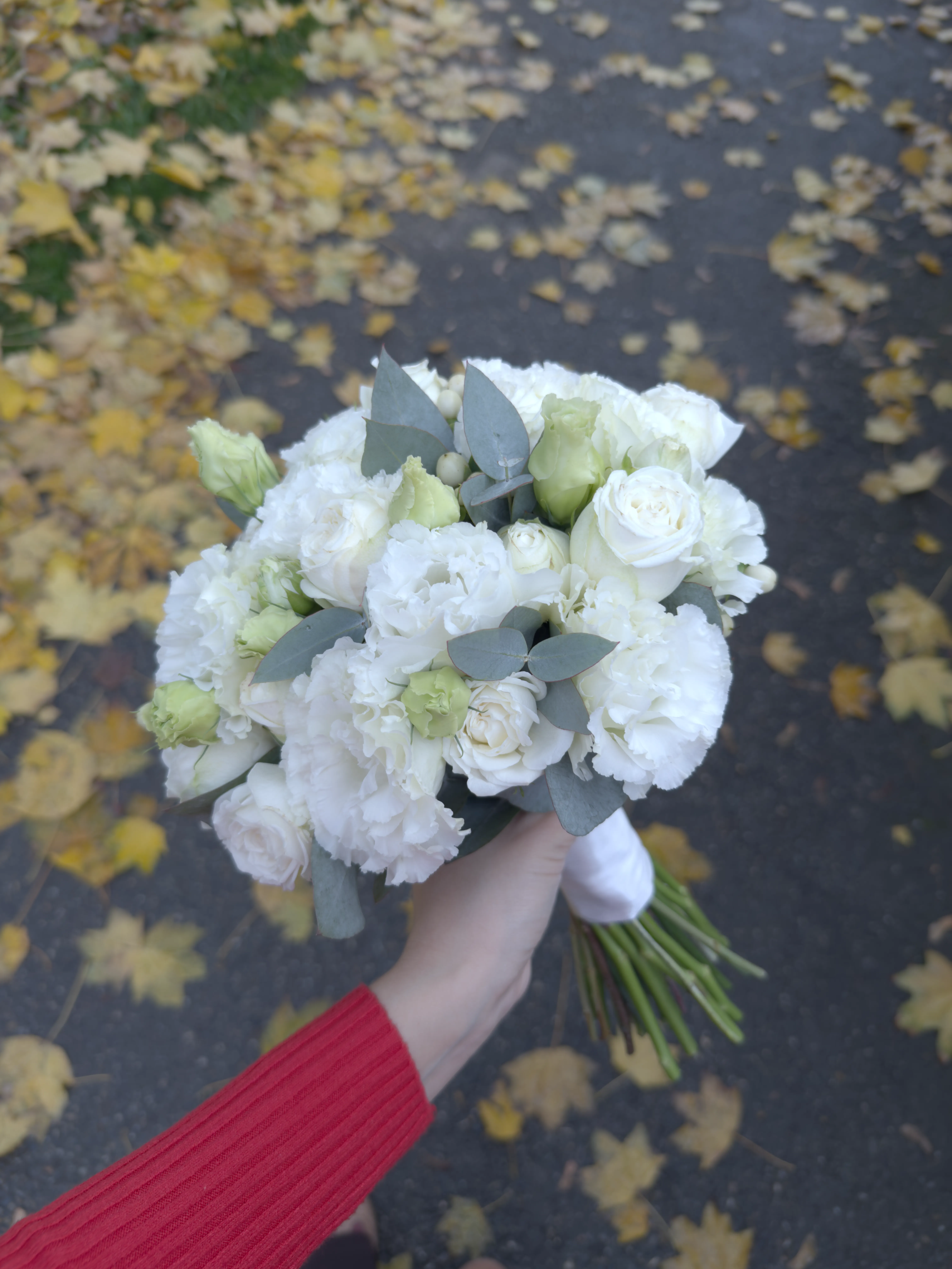 IMG_9633